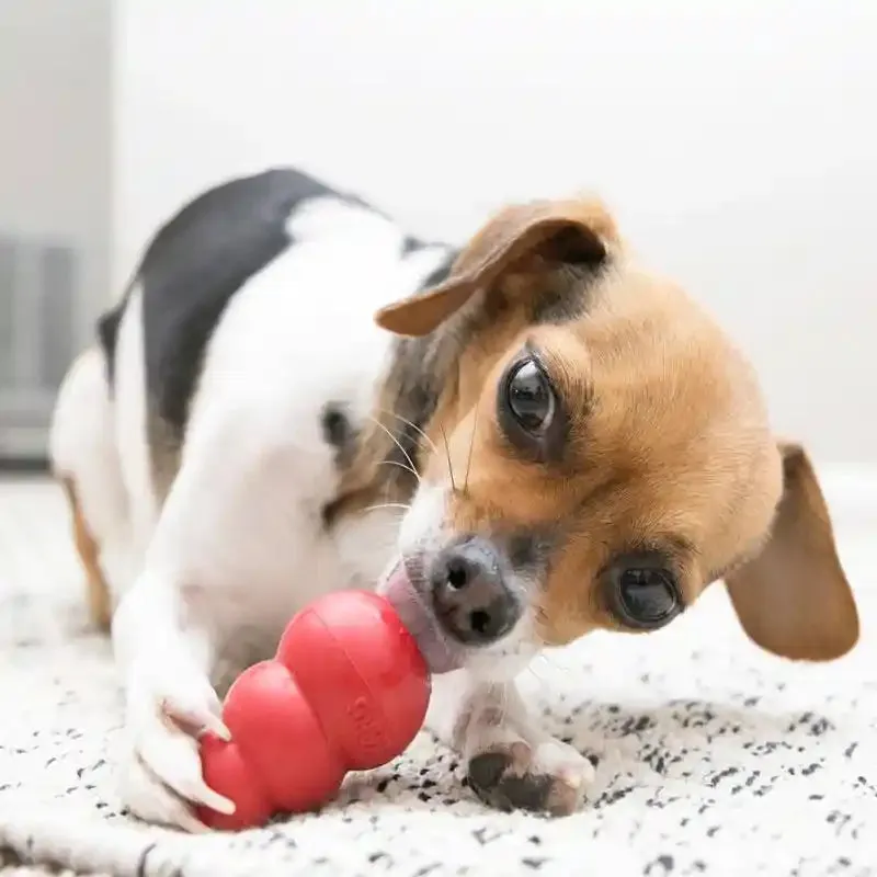 KONG Classic Brain Training Dog Enrichment Toy - Stuff with Treats at
