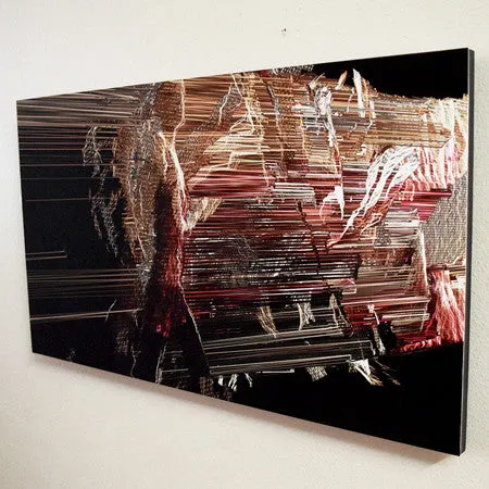 Suspended Motion Series I: II - 14x24" print
