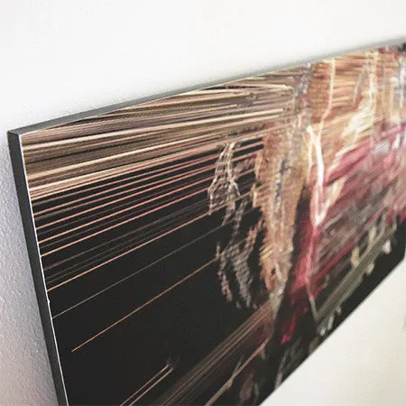Suspended Motion Series I: II - 14x24" print