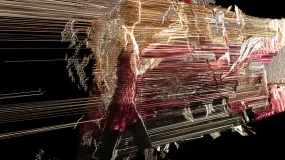 Suspended Motion Series I: II - 14x24" print